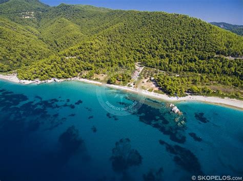 Skopelos Milia Beach, Skopelos beaches, SKOPELOS.COM - SKOPELOS.COM