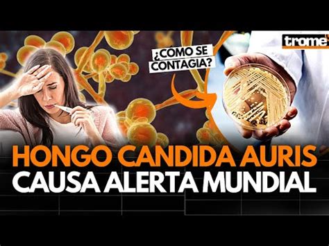 Todo Sobre El Hongo Resistente A Medicamentos C Mo Se Contagia Y