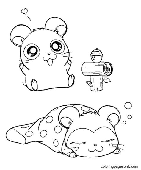 Hamster De Desenho Animado Comendo Para Colorir Imprimir E Desenhar