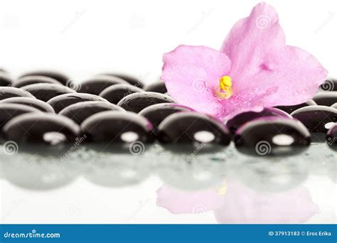 Spa Treatment Massage Stones And Pink Flower Stock Image Image Of Culture East 37913183