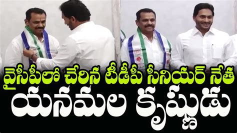 TDP Leader Yanamala Krishnudu Resigns To TDP And Joining In YSRCP