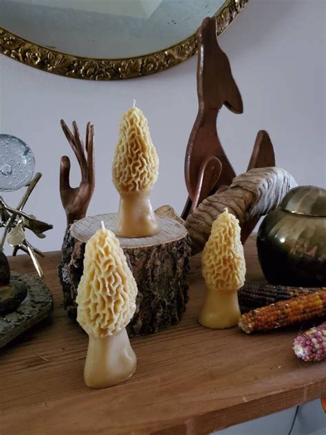 Morel Mushroom Beeswax Candle Etsy Uk