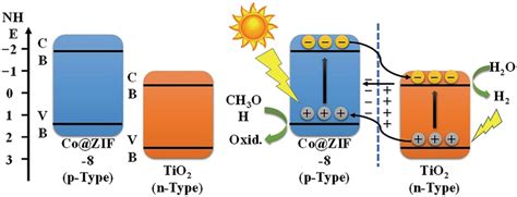 Proposed Mechanism Of Photocatalytic Water Splitting Of Co Zif Tio