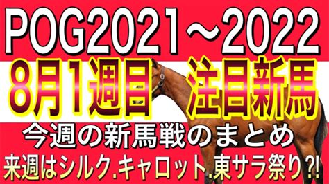 Pog2021〜2022 8月1週目 新馬戦 出走予定馬 注目馬はコレだ‼︎【一口馬主】フォラブリューテ アルファカリーナ 東サラ絶好調