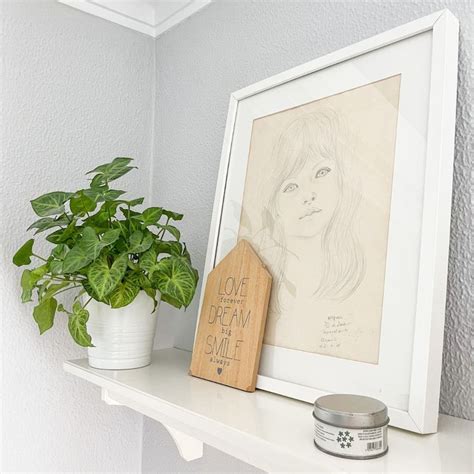 A Potted Plant Sitting On Top Of A White Shelf Next To A Framed Drawing