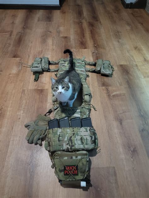 Tactical Cat Rtacticalgear