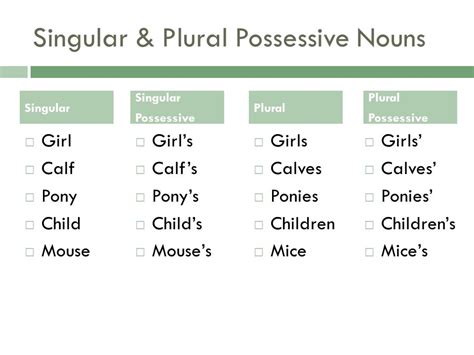 What Is A Plural Possessive Noun Meaning And Usage 56 Off