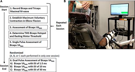 Frontiers Paired Pulse Transcranial Magnetic Stimulation In The