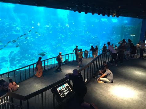 L Aquarium Sea Singapore