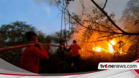 307 Titik Panas Terdeteksi Di Kaltim BMKG Ungkapkan Ini