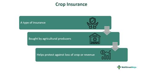 Crop Insurance What It Is Types Coverage Exclusions Example