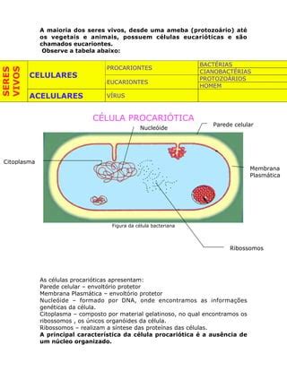 1 Organizacao Celular Dos Seres Vivos PDF