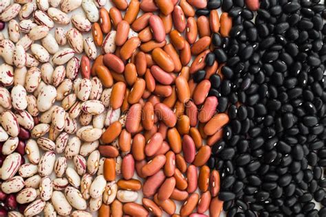 Different Varieties of Bean Seeds. Beans Background Stock Photo - Image ...