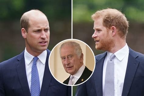 Les Commentaires Du Prince William Et Harry Devant La Cam Ra Sur Le Roi