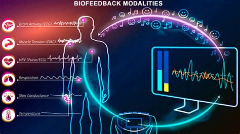 Electrodermal Biofeedback At Leonor Nicol Blog