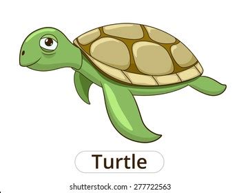 Turtle Underwater Animal Cartoon Illustration Children Stock Vector ...