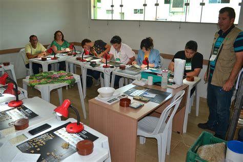 Curso De Classifica O E Degusta O De Caf Coomap