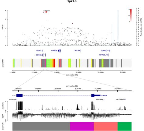 Regional Plots Of Association Results And Recombination Rates For The