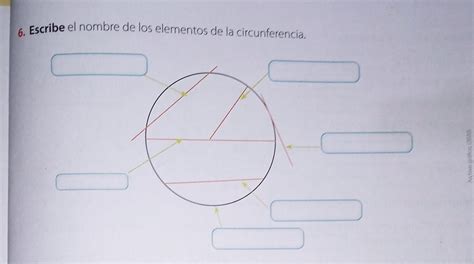 Escribe El Nombre De Los Elementos De La Circunferencia Brainly Lat