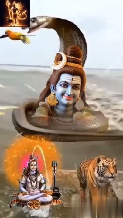 सोमवार को 🕉️🔱 शिव के मंदिर जाते हो तो भूल कर भी ये 4 गलतियां कभी मत