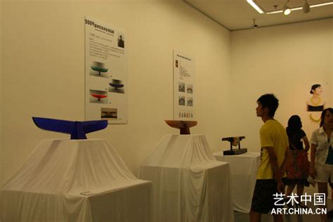 清華大學美術學院2009屆本科生畢業作品展開幕藝術中國