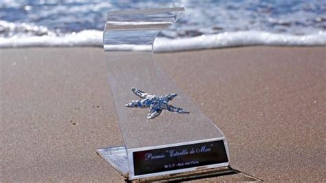 Premios Estrella De Mar Todos Los Ganadores Mdz Online