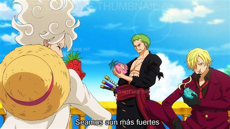 Las Nuevas Frutas del Diablo de Zoro Sanji y los Demás Piratas del