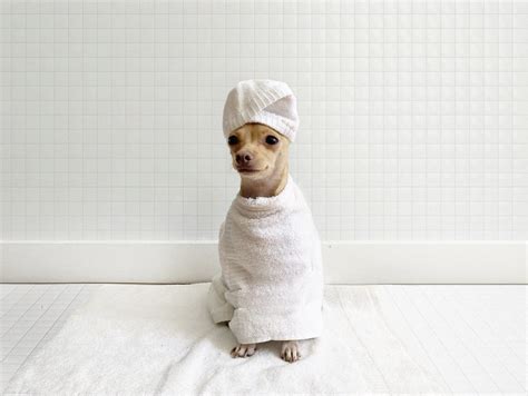 Pictures To Make People Smile