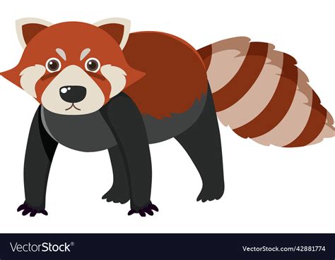 Cute Red Raccoon In Flat Cartoon Style Royalty Free Vector