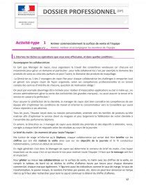 Exemple Dossier Professionnel Formateur Professionnel D Adultes