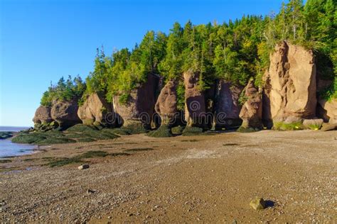 Hopewell Rocks At High Tide Stock Photo - Image of cliff, provincial: 189434036