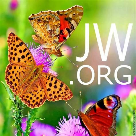 17 Best images about Jw.org on Pinterest | Language, Time pictures and ...