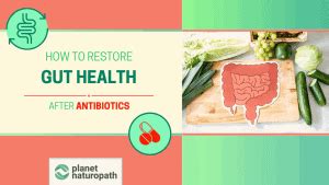 How To Restore Gut Health After Antibiotics