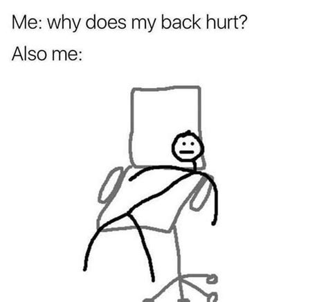 Me Why Does My Back Hurt Also Me Meme