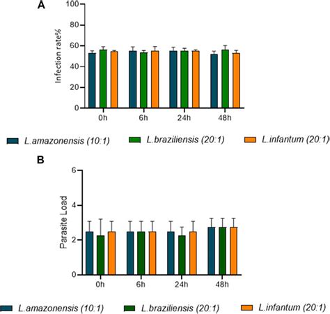 Frontiers Leishmania Infection Alters Macrophage And Dendritic Cell