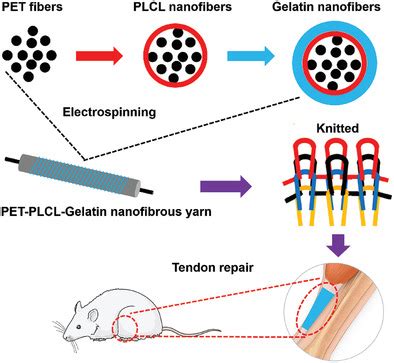 Hybrid Nanofibrous Composites with Anisotropic Mechanics and ... 