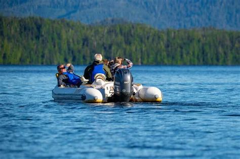 Ketchikan Private Scenic Drive George Inlet Fjords Cruise Getyourguide