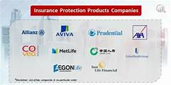 Best Insurance Companies That Offer Full Protection