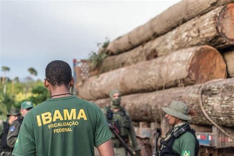 Carta aberta ao presidente do Ibama e à sociedade brasileira por