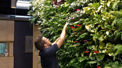 Vertical Garden Maintenance Atlantis Aurora