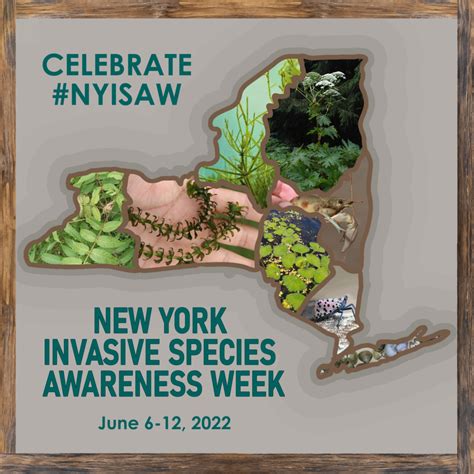 New York Invasive Species Awareness Week June 6th June12th Finger