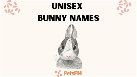 Unisex Bunny Names Nature Character Mythology Inspired Etc