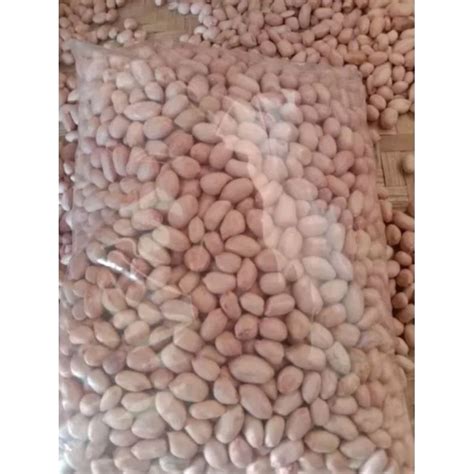 Jual PROMO 1KG BENIH KACANG TANAH VARIETAS GAJAH GARUDA Benih Kacang