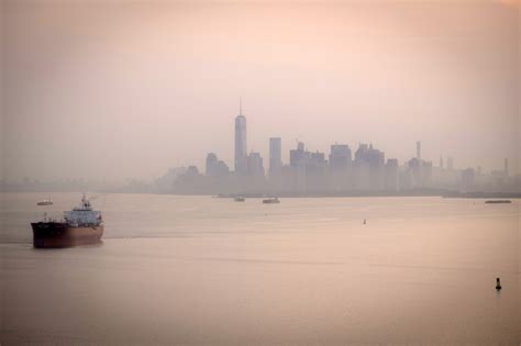 New York après les fumées des incendies des insectes envahissent la