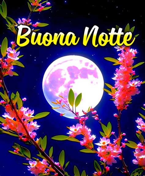 2000 WhatsApp Buonanotte Immagini Nuove Gratis 2024 RajuEditor