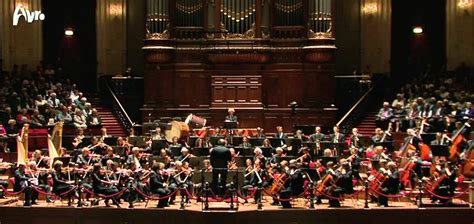 AUDITION | Concertgebouw Orchestra, Netherlands – ‘Tutti Double Bass’ Positions