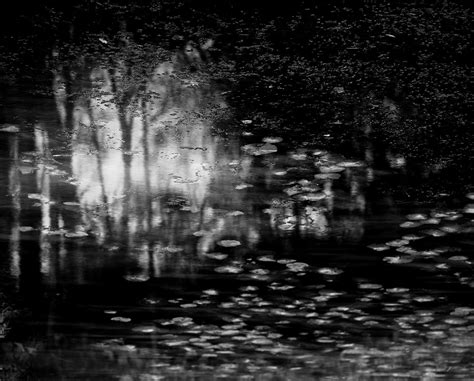Nicholas Hughes Verse I 1 2016 Print Sales Gallery The