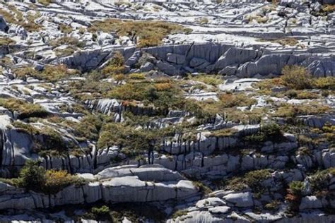 Limestone pavements, karst landforms, geology on Gamser Rugg Mounta...