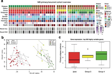 A Annotation Onco Plot Describing Patient Histological And Molecular