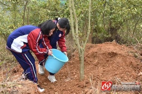 愛綠護綠從我做起 湖南師大懷化附屬學校師生家長義務植樹齊上陣 壹讀